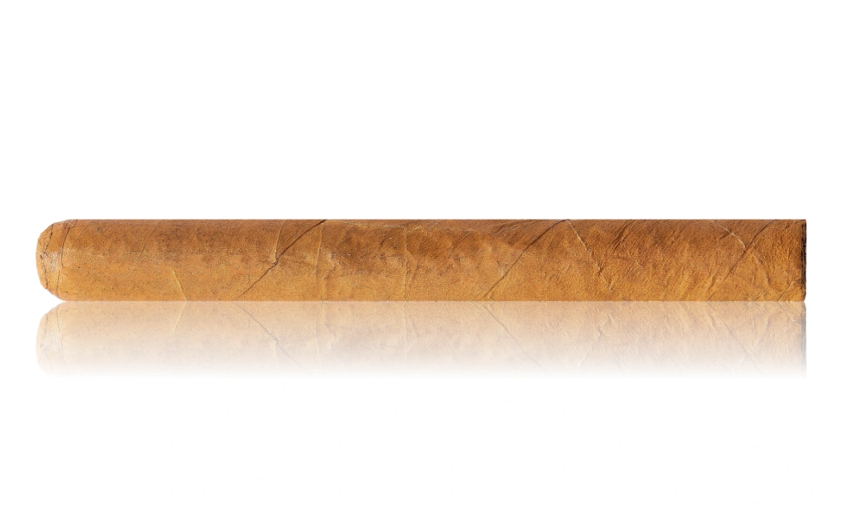 Zigarre Honduras Flor de Selva Cigarillo