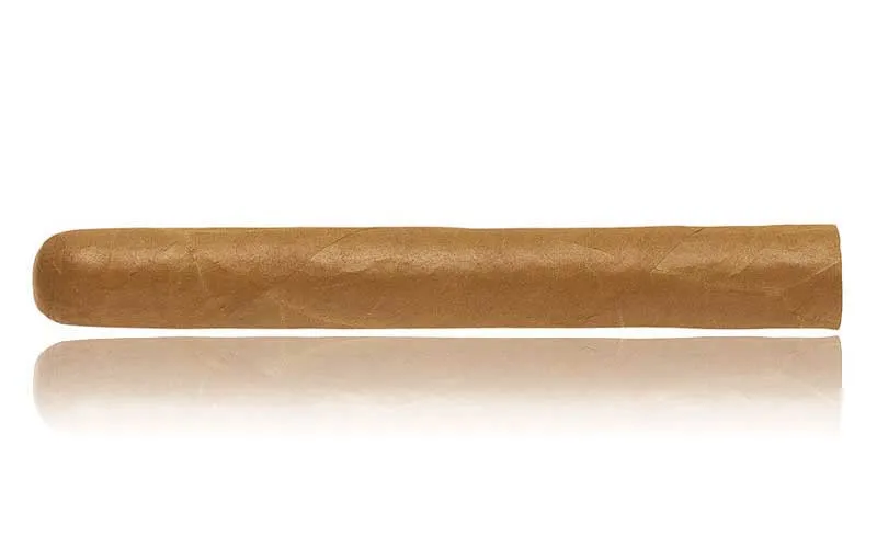 Hoyo de Monterrey - Epicure No 1 Zigarre Kuba Hoyo de Monterrey