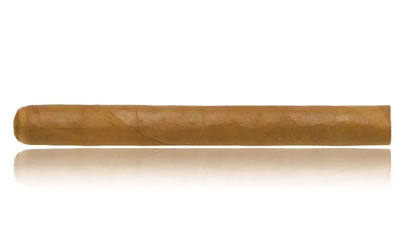 Hoyo de Monterrey - Le Hoyo des Dieux Zigarre Kuba Hoyo de Monterrey
